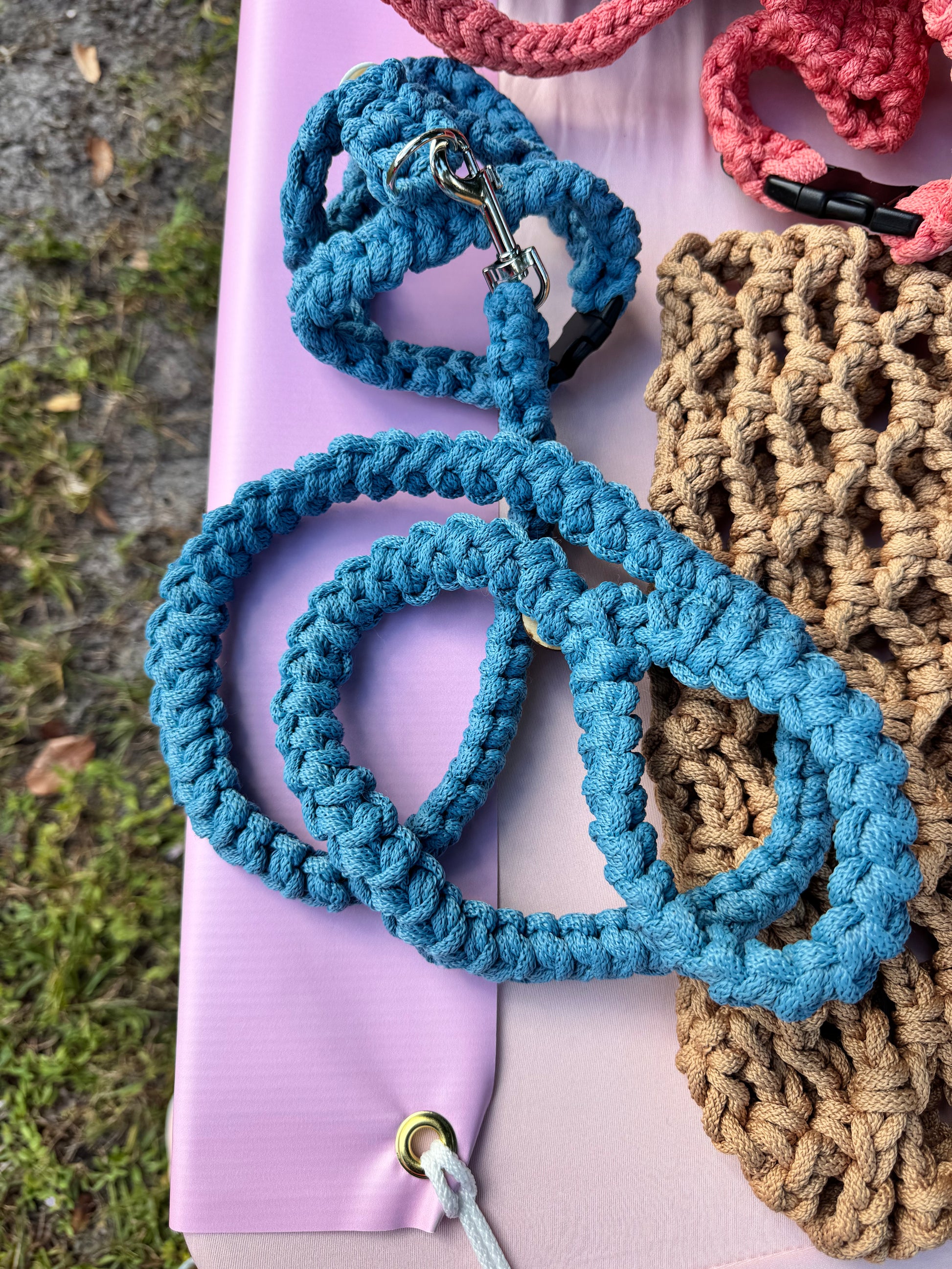 Dog blue H harness & leash
